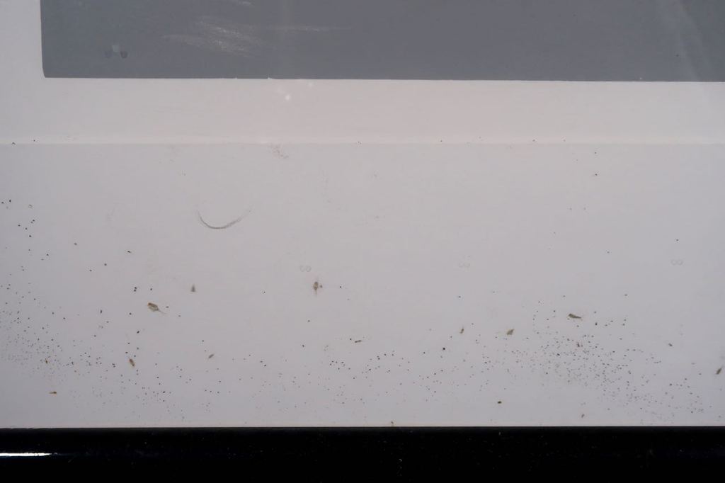 Frank Lejeune: Zeefdruk, Zonder titel - Ingelijst kopen? Bied vanaf 40!