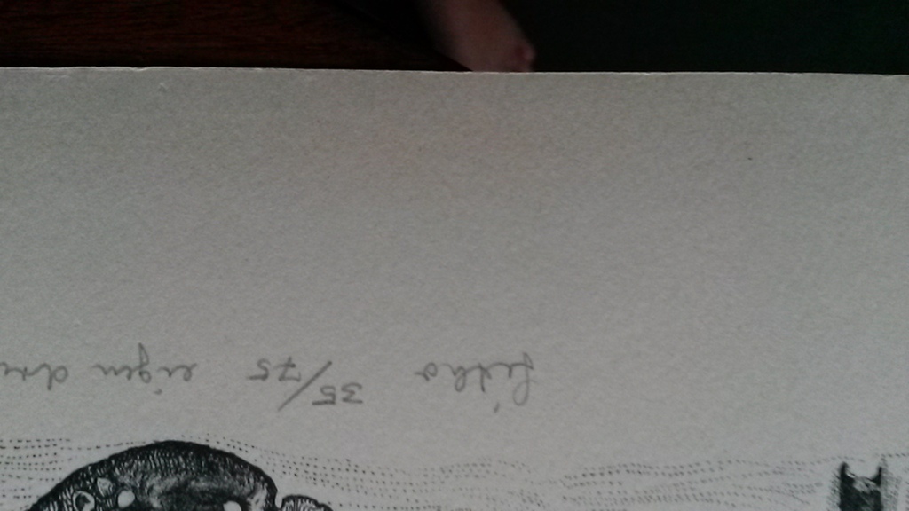 Droom  kopen? Bied vanaf 10!