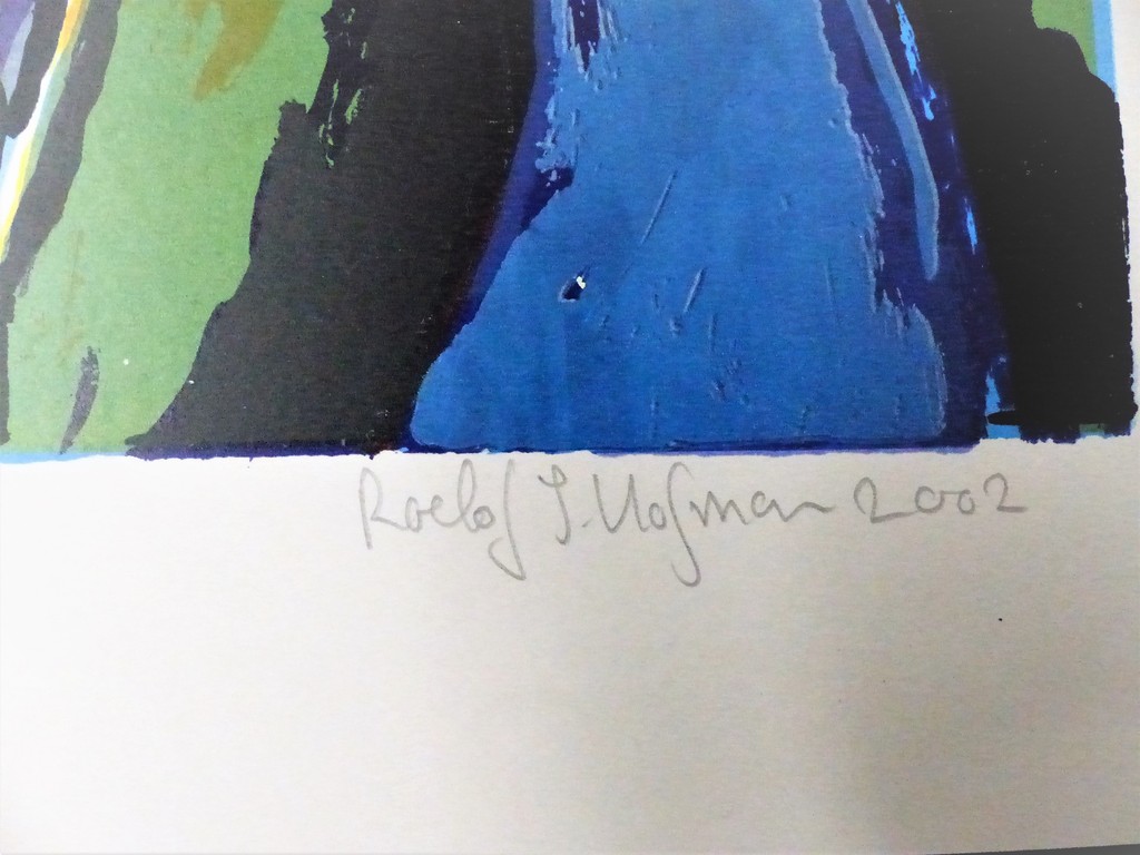 Roel Hofman,Colour Delight 2,Zeefdruk op papier kopen? Bied vanaf 30!