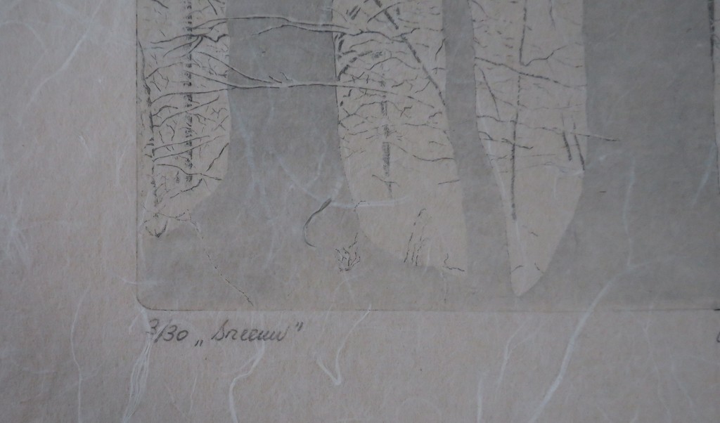 Eric Ruijgers: Ets op Japans papier, Sneeuw kopen? Bied vanaf 20!