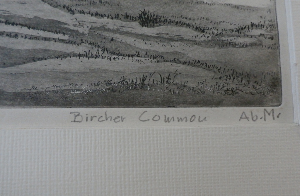 Ab M.- ets: Bircher Common kopen? Bied vanaf 1!