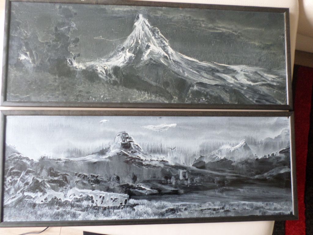 2 panelen van 20 x80 cm kopen? Bied vanaf 10!