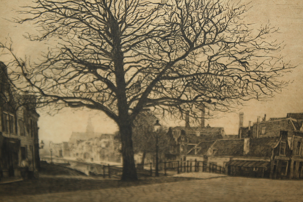 STADSGEZICHT - BURGWAL te HAARLEM kopen? Bied vanaf 1!