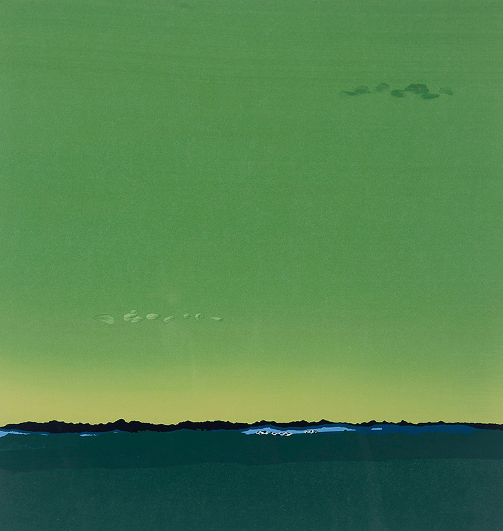 Gerard 't Hart - Zeefdruk met Acrylverf op papier - Landschap groen kopen? Bied vanaf 10!