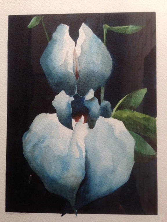 Aquarel Rob H.Vermeer 1937 - Studie Iris - 49 X 43 cm. kopen? Bied vanaf 45!