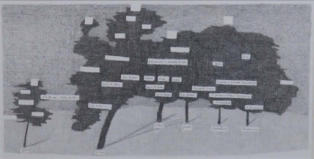Florette Dijkstra: Grafiet op papier, Stambomen op het Bickersplein - Ingelijst kopen? Bied vanaf 35!