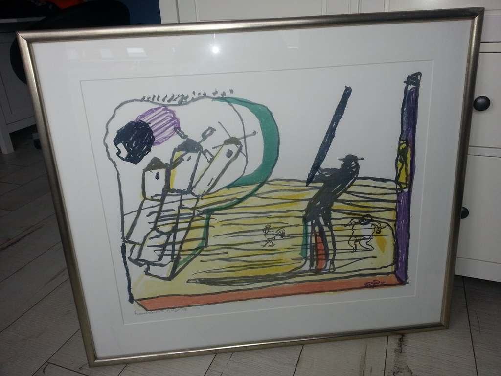 Pieter Defesche, Kleurenitho 1/188, hand gesigneerd (mooie lijst, 89x75) kopen? Bied vanaf 119!