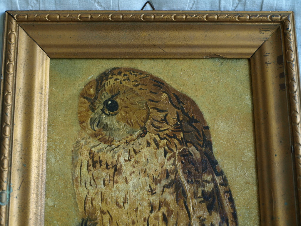 Gesigneerd B.D. : Olieverf op paneel , Uil – ingelijst– 1e helft 20e eeuw kopen? Bied vanaf 1!