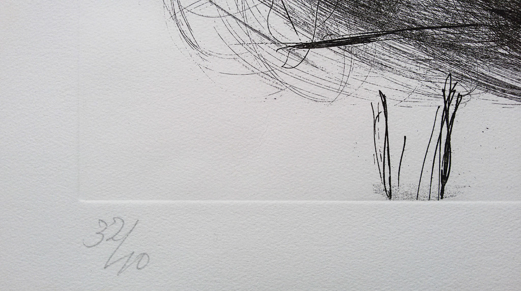 Ger Lataster - Compositie met fruit en driehoek, aquatint ets kopen? Bied vanaf 95!