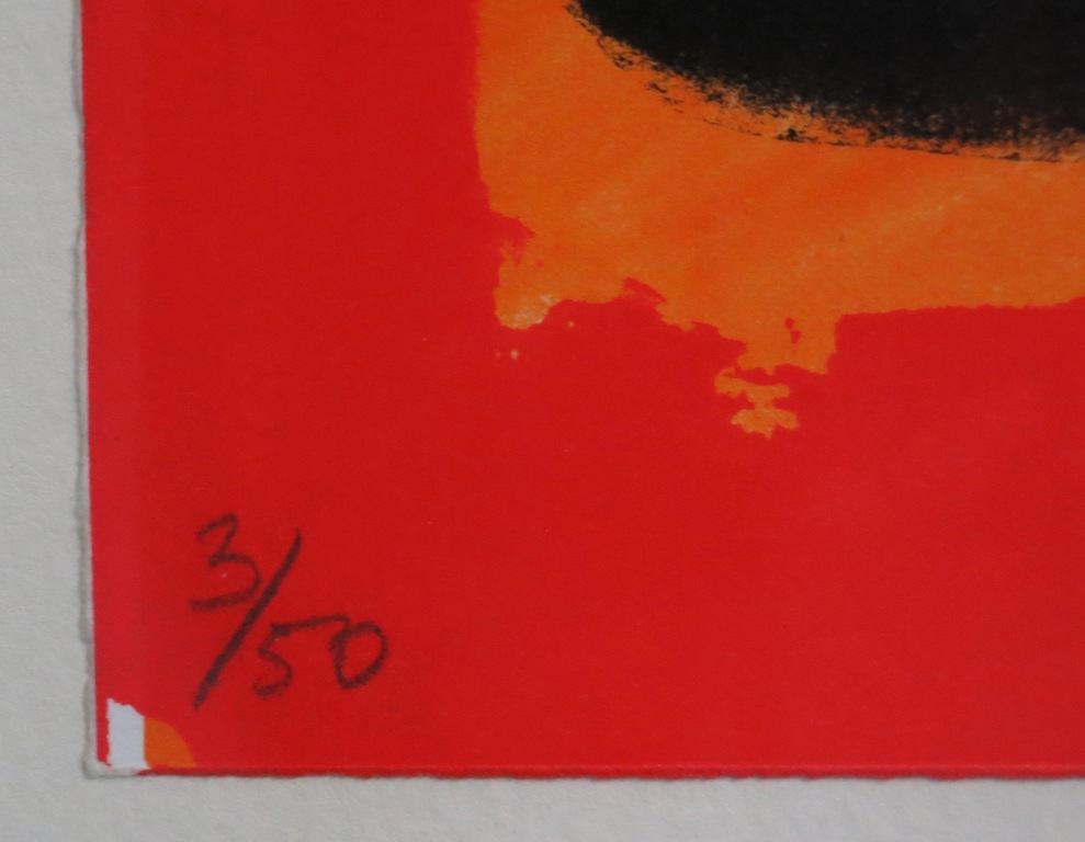 Cees Dolk: Zeefdruk, Serie vaas - Ingelijst kopen? Bied vanaf 40!