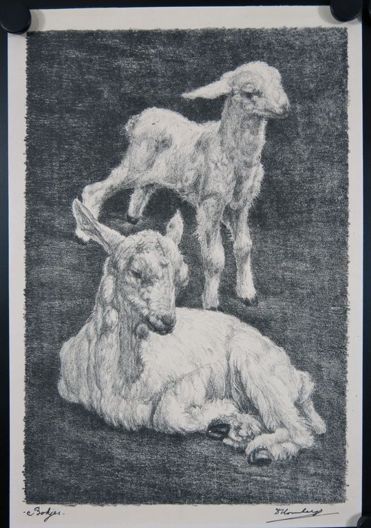 Dirk Homberg: 2x Litho, Bokjes en Zeearend kopen? Bied vanaf 35!