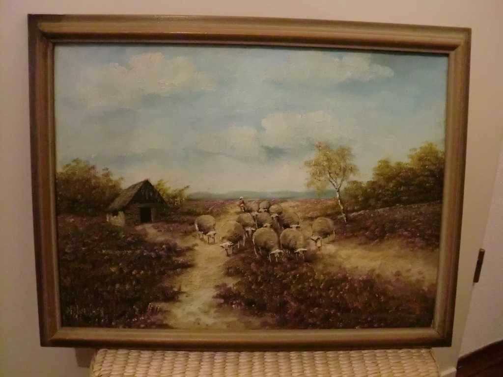 Schapen op de Heide kopen? Bied vanaf 30!