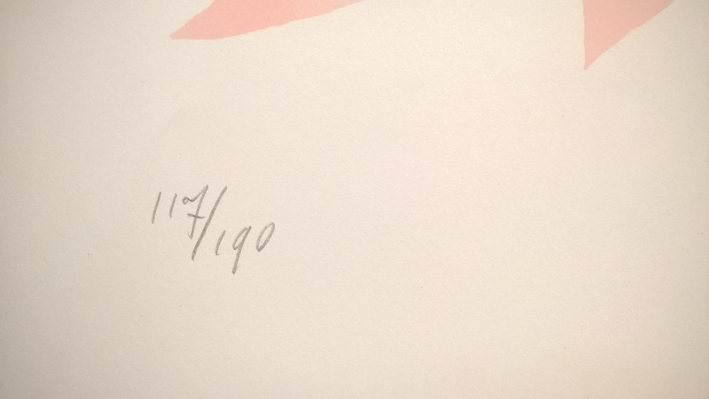 Klaas Gubbels - gesigneerde kleuren litho  kopen? Bied vanaf 195!