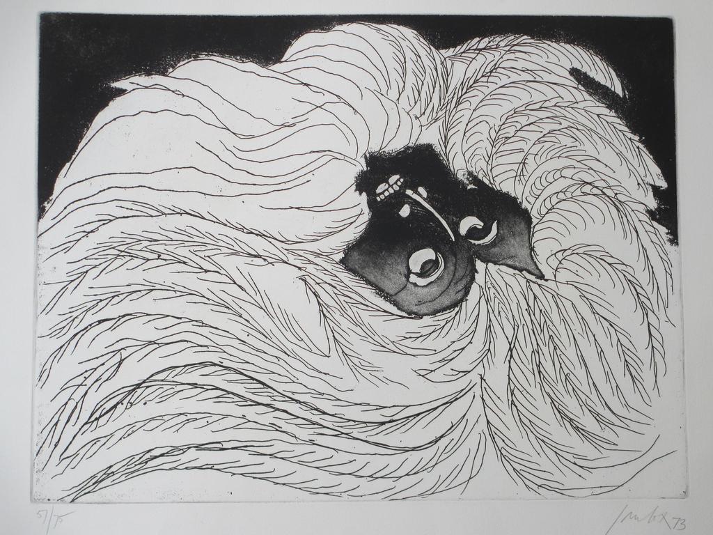 Jan Cox, Maskerade, Ets verkocht voor € 90!