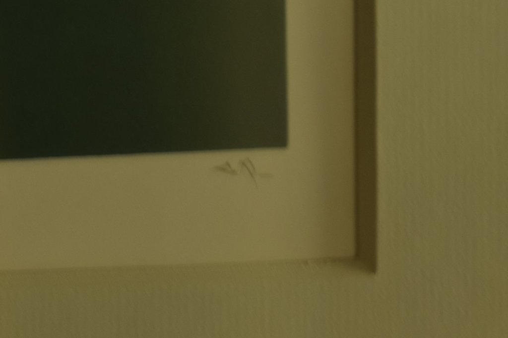 Gerard 't Hart - Zeefdruk met Acrylverf op papier - Landschap groen kopen? Bied vanaf 10!