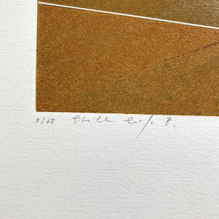 2 x Martin R Baeyens ( Wout v/d Vet )  zeefdrukken Titel: Still life 1 en 2 kopen? Bied vanaf 1!