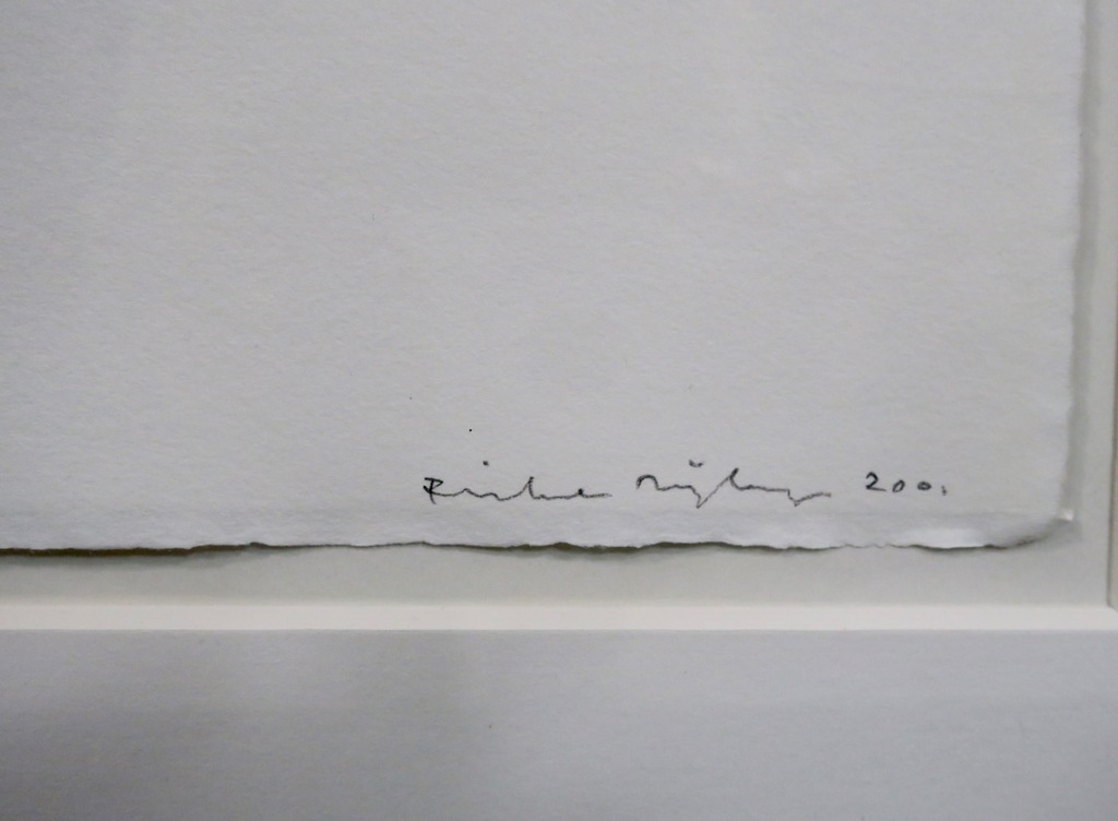 Rinke Nijburg:Gem.gr.techniek,The snake's view - Ingelijst kopen? Bied vanaf 1!