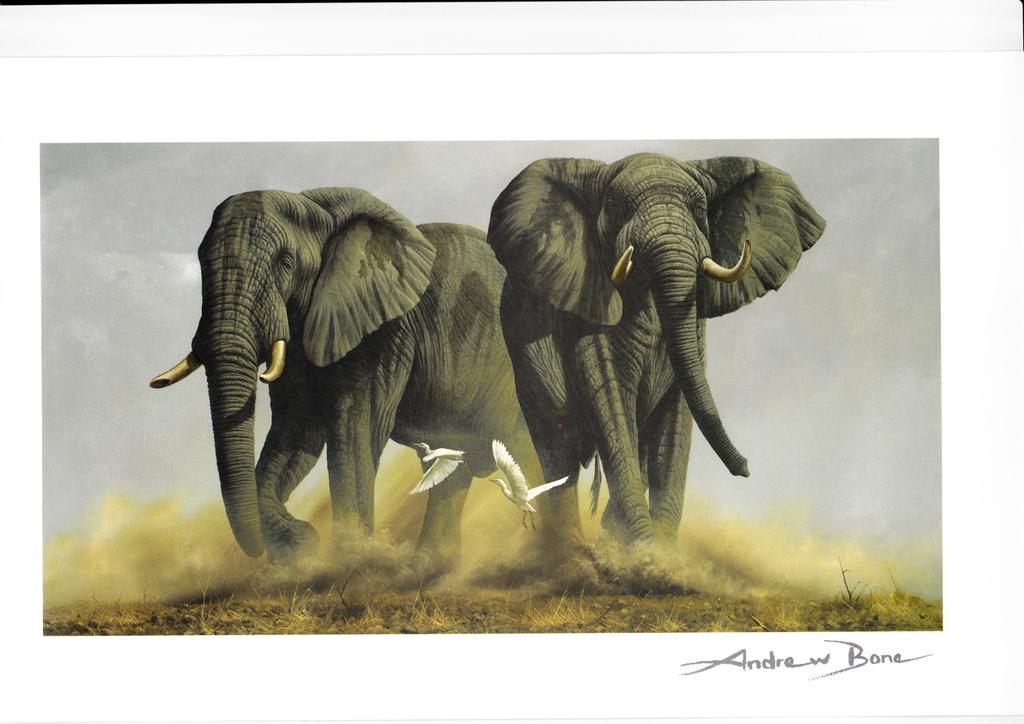 Andrew Bone, Kleurenlitho 14,2 *26 Cm, The Last Frontier kopen? Bied vanaf 25!