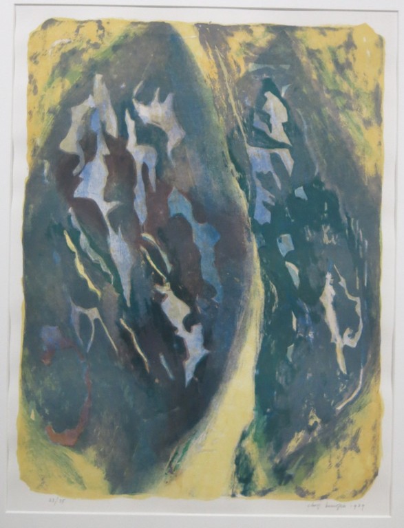 Chris Buursen: Litho, Z.T. - Ingelijst kopen? Bied vanaf 30!