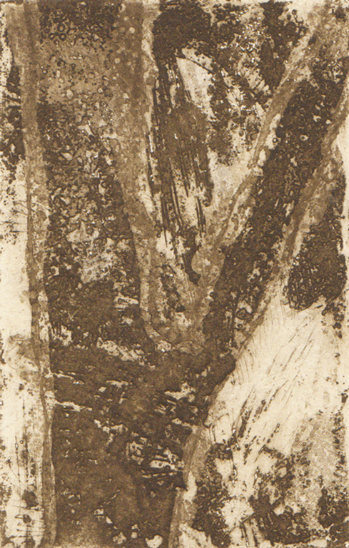 Hermine Standenmeijer - ets-aquatint kopen? Bied vanaf 20!
