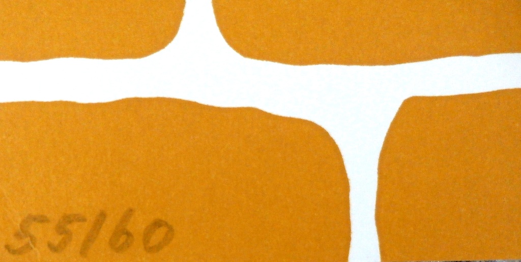 Reinier Lucassen - litho - 1970 kopen? Bied vanaf 75!