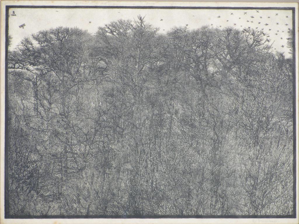 Rudolf Bremmer, Bosgezicht met vogels en vliegtuig, Houtsnede 1922 kopen? Bied vanaf 55!