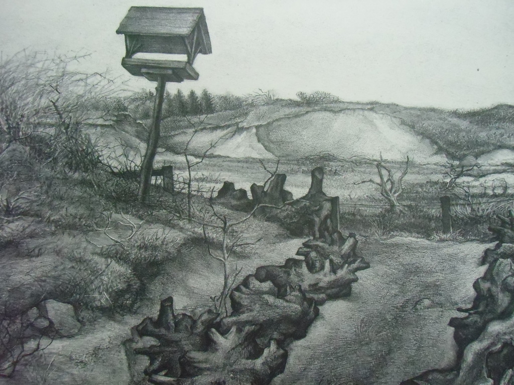 DUINLANDSCHAP  ///  LITHO VAN AART VAN DOBBENBURGH kopen? Bied vanaf 50!