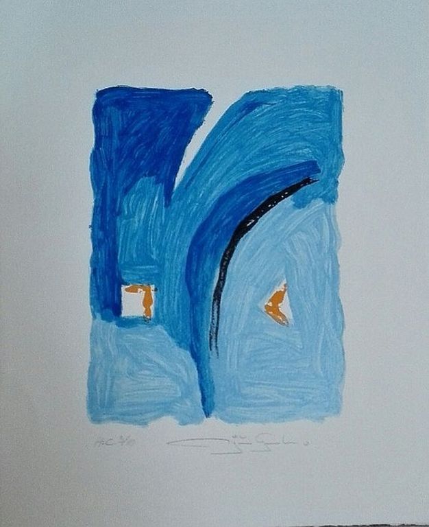 GERARD BIJNENS Zeefdruk Abstract Blauw handgesigneerd kopen? Bied vanaf 25!