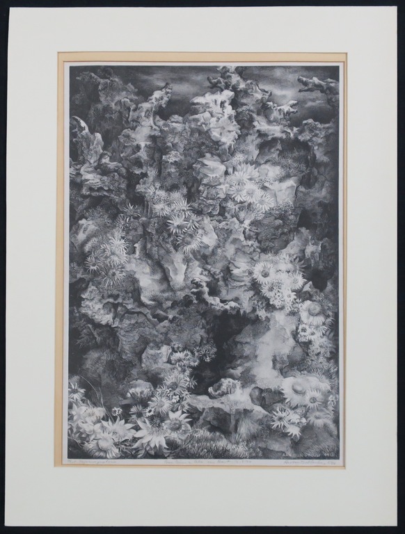 Aart van Dobbenburg: Litho Najaarssymphonie verkocht voor € 55!