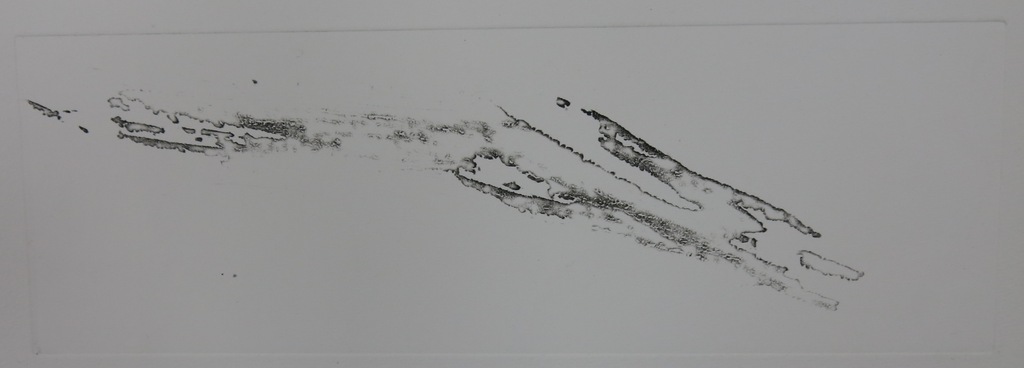 Paulien Wittenrood: Ets, Onder de takken door kopen? Bied vanaf 20!