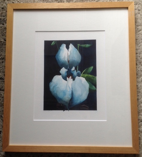 Aquarel Rob H.Vermeer 1937 - Studie Iris - 49 X 43 cm.   kopen? Bied vanaf 45!