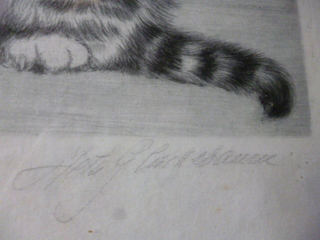 Meta Plückebaum - kleurenets - Poesje en hondje met hoed kopen? Bied vanaf 85!