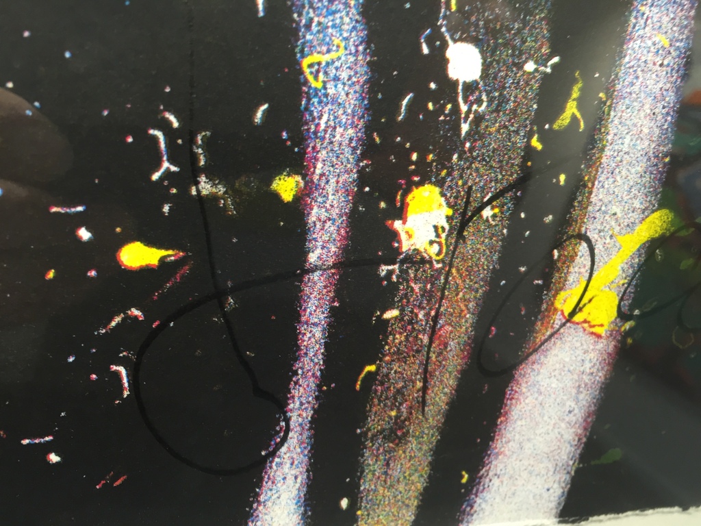 HERMAN BROOD  Unieke hand gesigneerde zeefdruk kopen? Bied vanaf 1!