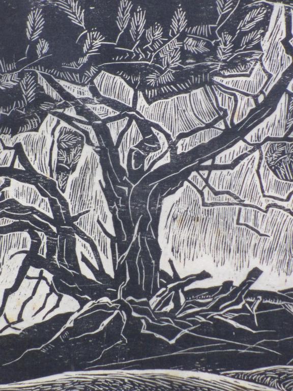 Edith Pijpers, Oude Boomen, Houtsnede kopen? Bied vanaf 40!