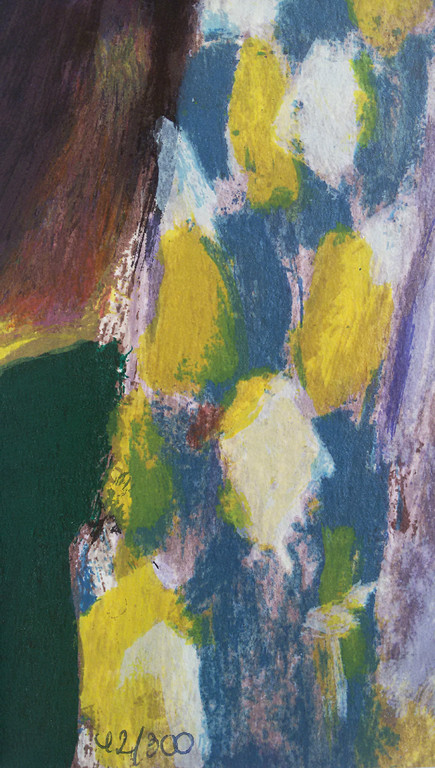 Eugene Brands - Het geschenk uit de hemel, gesigneerde litho met boek kopen? Bied vanaf 225!