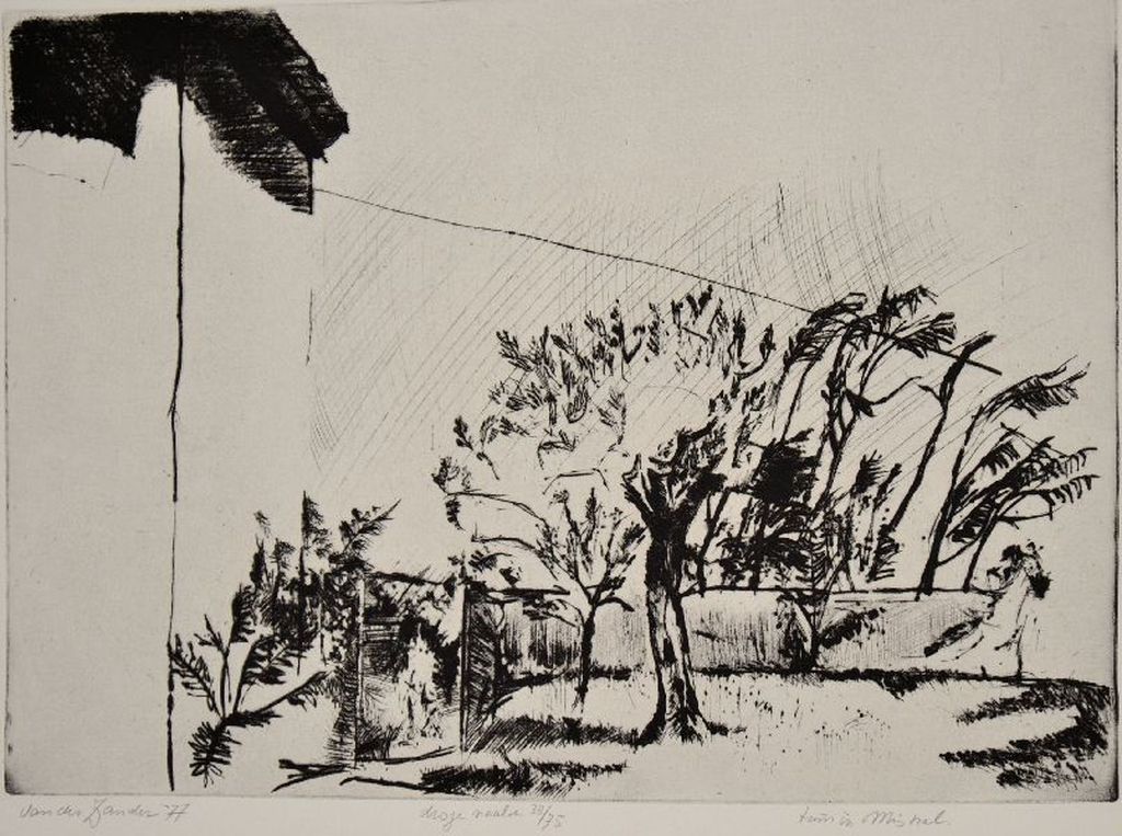 Frits van der Zander: Droge Naald - Tuin in Mistral  verkocht voor € 35!