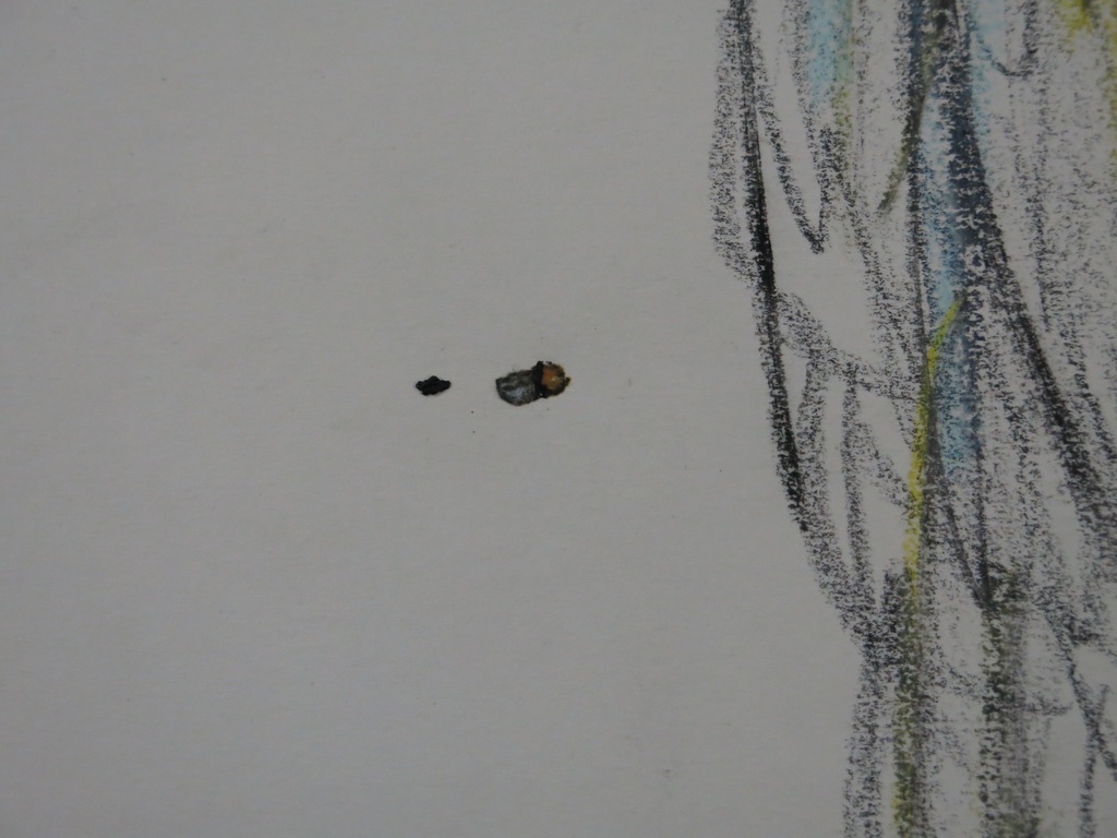 Hanny Ramaer: Potloodtekening, Twee vrouwen met vogel kopen? Bied vanaf 1!