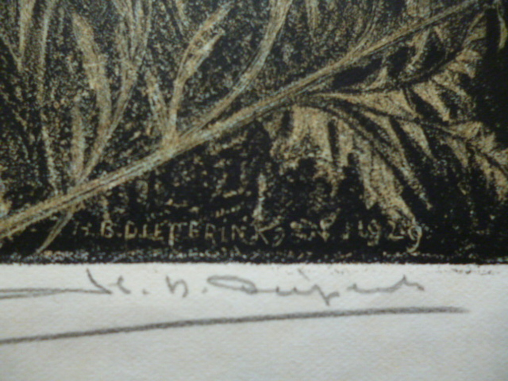 H.B.Dieperink - kleurenlitho - Zonnebloemen kopen? Bied vanaf 30!