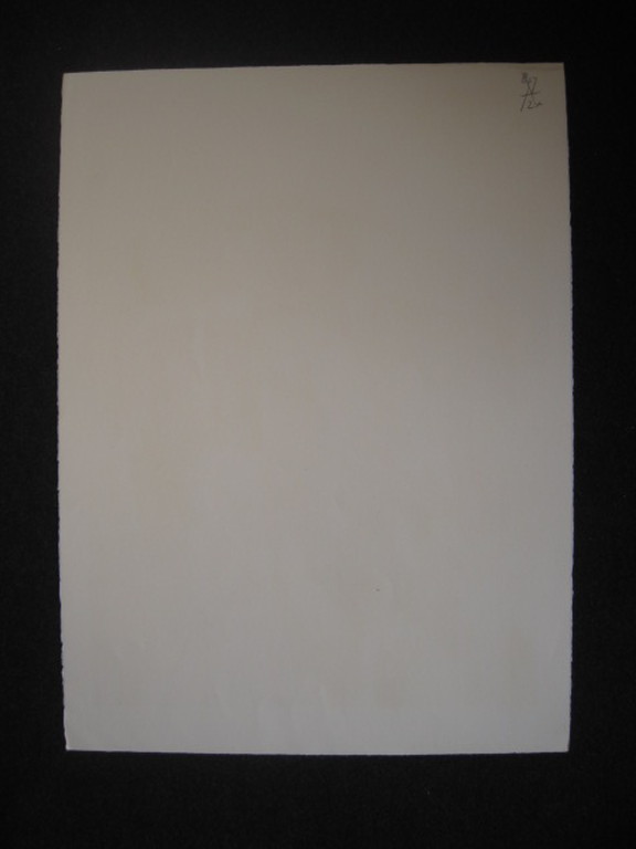 Fraaie gedetailleerde Litho van Spaans Hollandse graficus Manuel Menan 1946-1994 kopen? Bied vanaf 1!