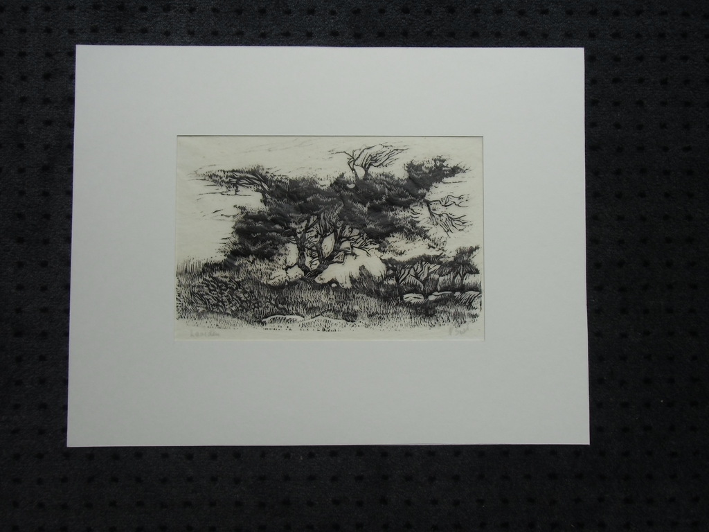 ZAAIDEN  //  HOUTSNEDE VAN PIET SNEL verkocht voor € 35!