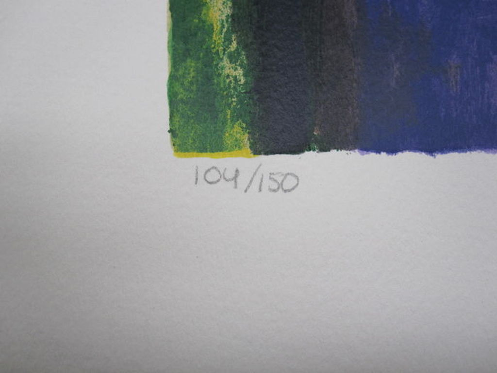 Eugene Brands 'De eenhoorn' - gesigneerde zeefdruk - oplage 150 ex. - 1997 kopen? Bied vanaf 325!