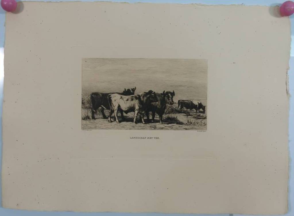 Philip Zilcken: Ets, Landschap met Vee kopen? Bied vanaf 1!