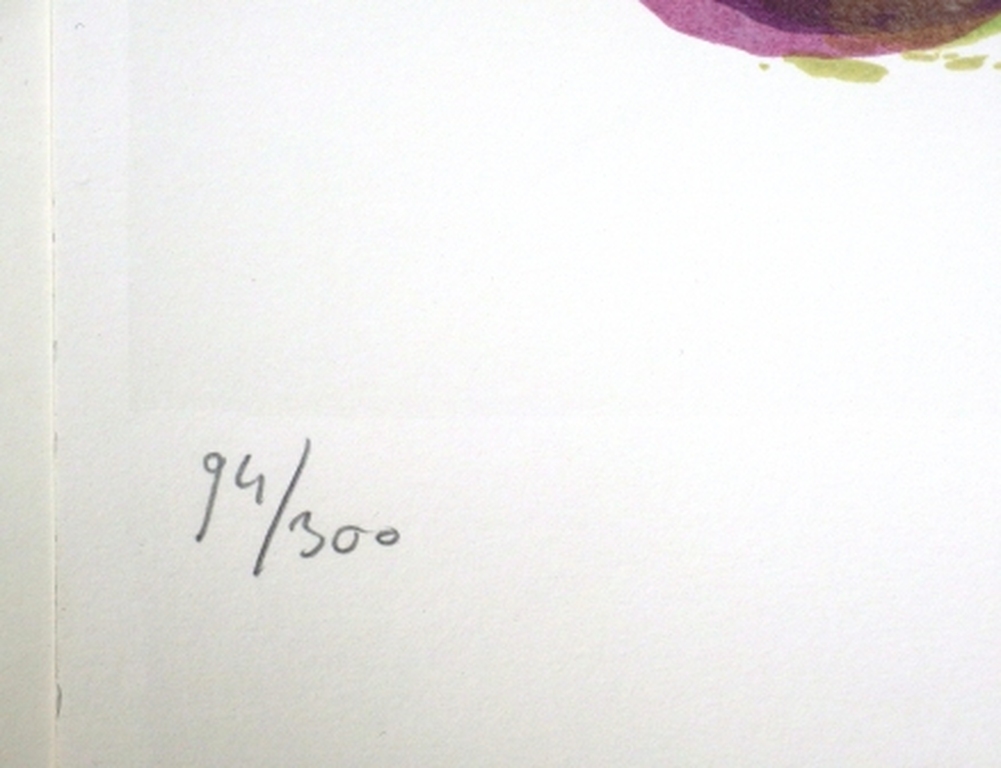 Darja Vos:Zeefdruk, El aqua subterrenea kopen? Bied vanaf 15!