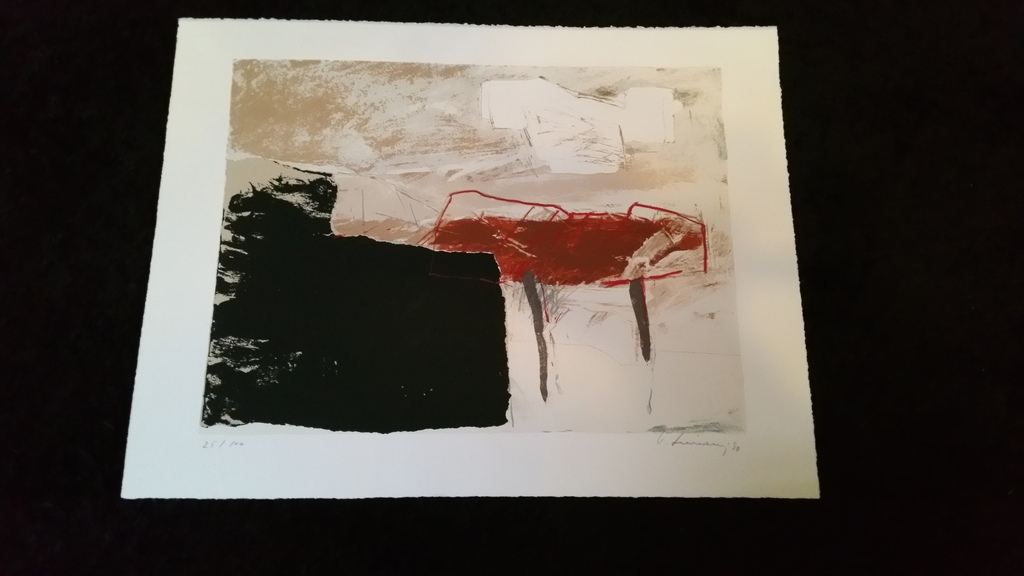 Zeefdruk, Abstracto kopen? Bied vanaf 1!