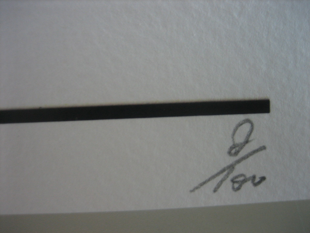 DEATH NYC Limited Edition Art print Graffiti Signed "Monroe G" Rare 2013 kopen? Bied vanaf 1!