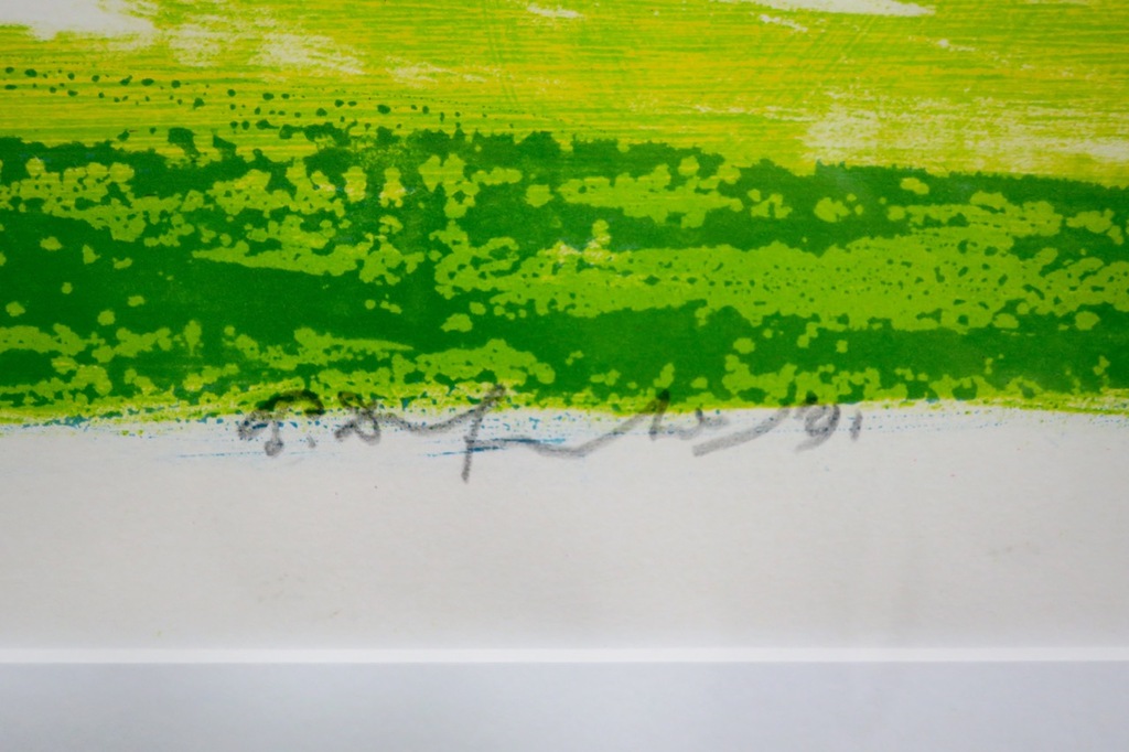 Pieter Defesche: Litho, Z.T. - Ingelijst kopen? Bied vanaf 1!