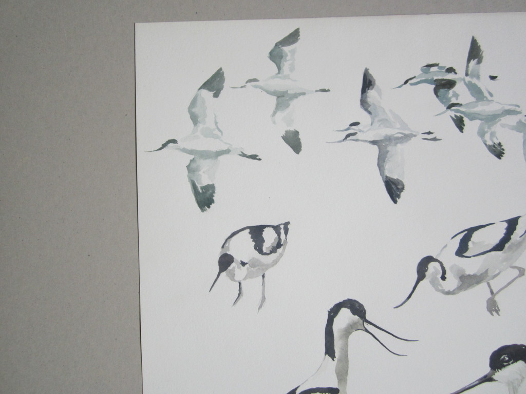 André Tigchelaar: Aquarel, Kluten kopen? Bied vanaf 1!