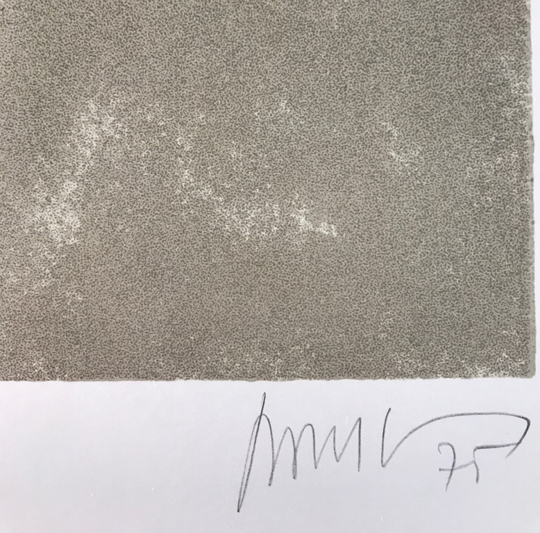 Dan Van Severen - zeldzame zeefdruk - getekend en genummerd kopen? Bied vanaf 235!