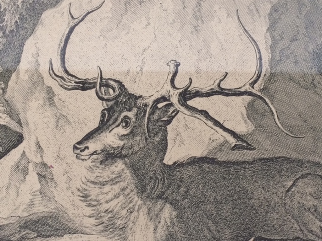Ets - Johann Elias RIDINGER (Ulm 1698, Augsburg 1767) kopen? Bied vanaf 50!