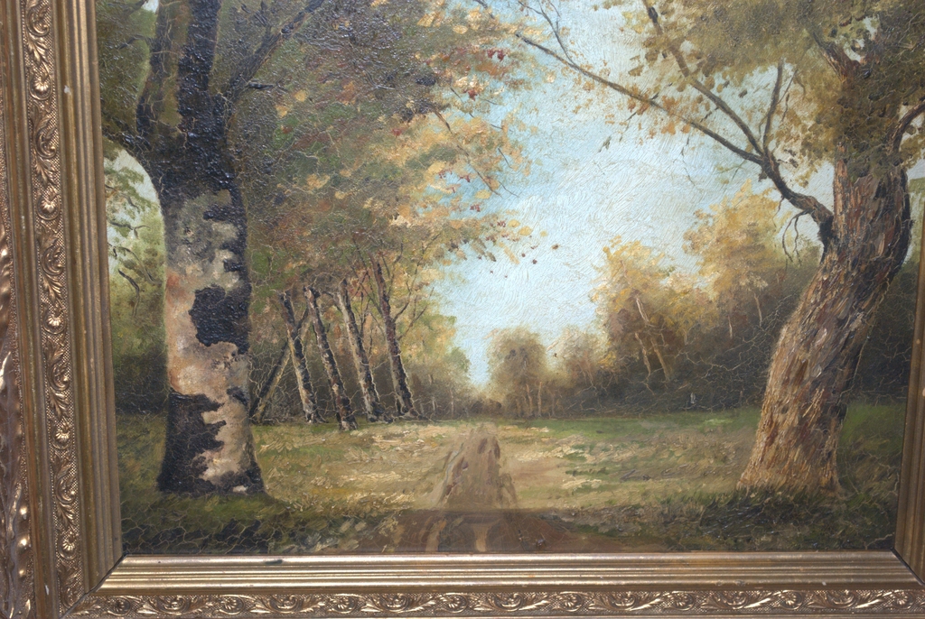 HAAGSE BOS 1909 -- OLIEVERF, BESCHREVEN ACHTERZIJDE -- FRAAI INGELIJST kopen? Bied vanaf 40!